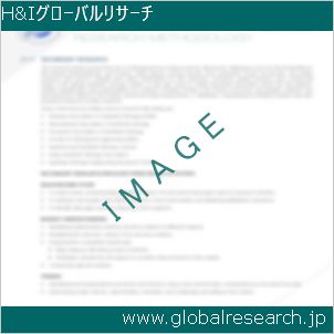 グローバルリサーチ調査レポートのイメージ